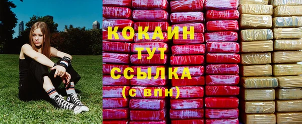 сатива Покровск