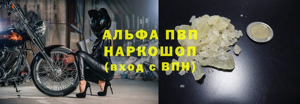 твердый Покачи