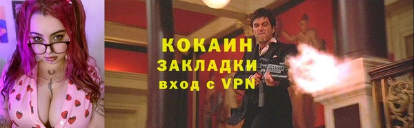 твердый Покачи