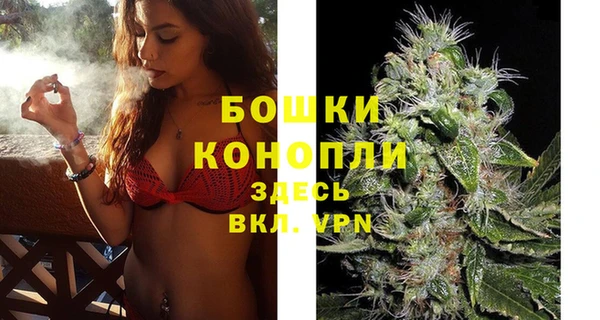 сатива Покровск