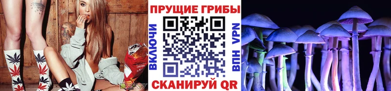Купить  Хасавюрт  Псилоцибиновые грибы прущие грибы 