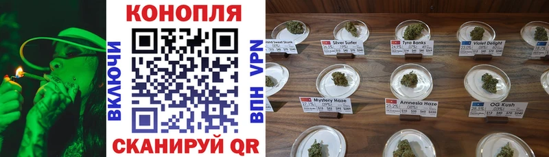 Шишки марихуана конопля Хасавюрт